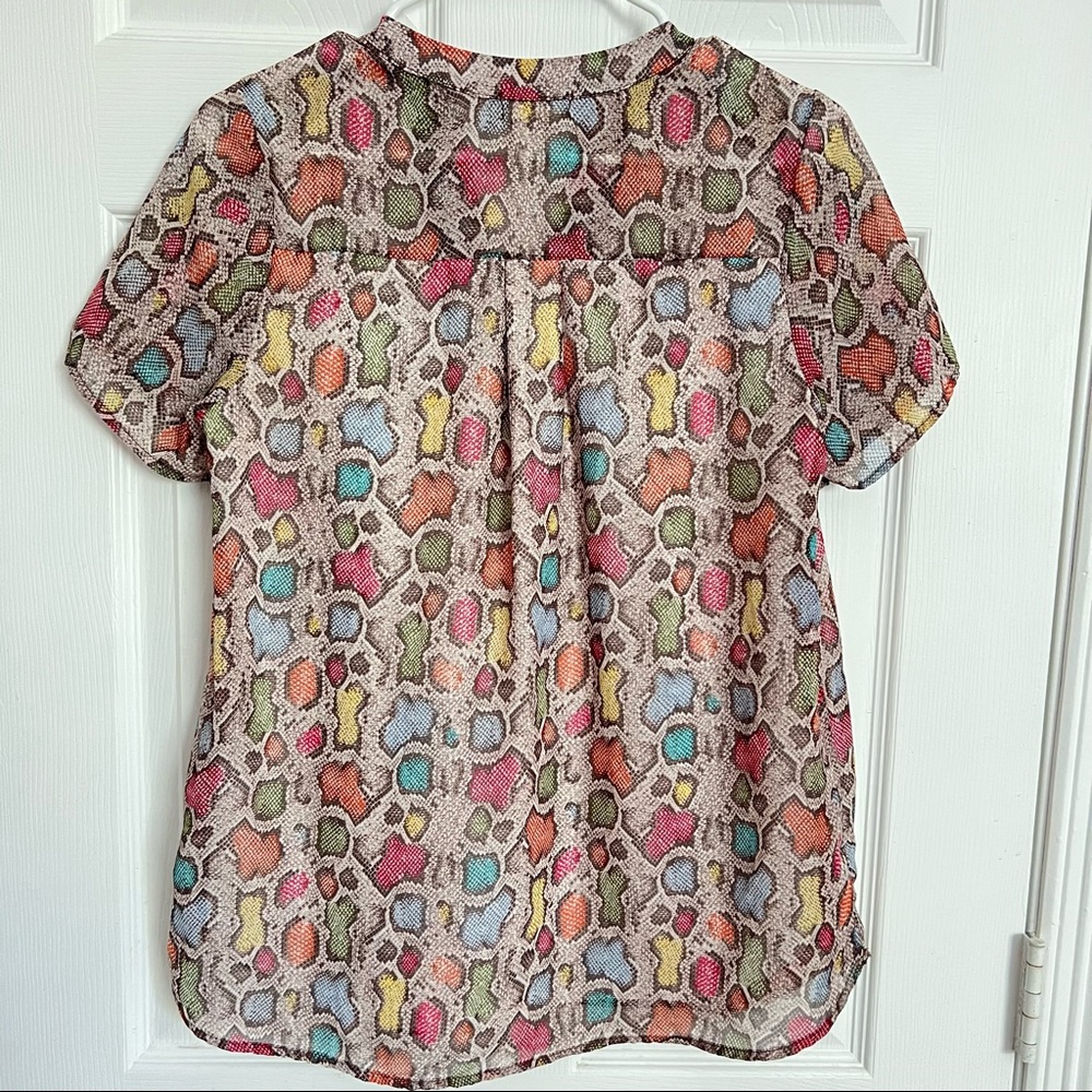 Entro | Multicolor Python Print Sheer Top - image 3